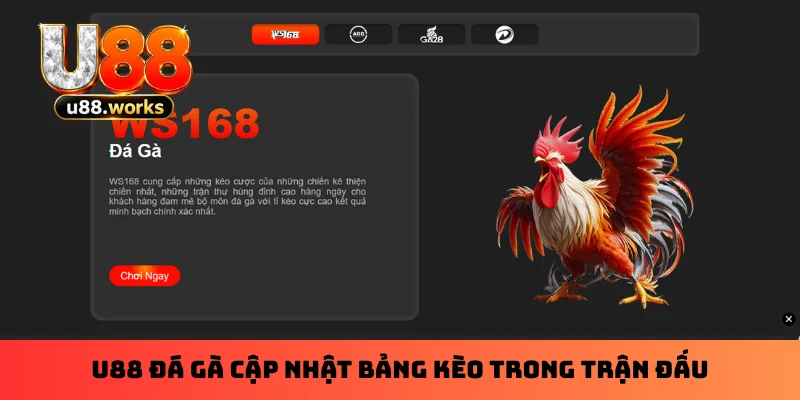 U88 đá gà cập nhật bảng kèo trong trận đấu U88 đá gà cập nhật bảng kèo trong trận đấu
