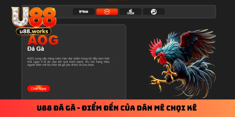 U88 Đá Gà - Điểm Đến Của Dân Mê Chọi Kê Chính Hiệu 1 U88 Đá Gà - Điểm Đến Của Dân Mê Chọi Kê Chính Hiệu